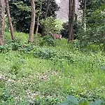Poggio Di Vento Sulla Via Degli Dei *