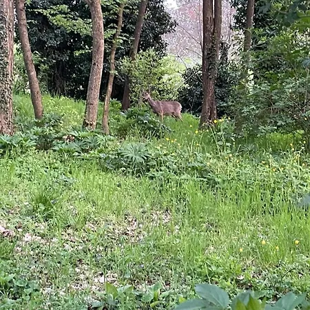 Poggio Di Vento Sulla Via Degli Dei *