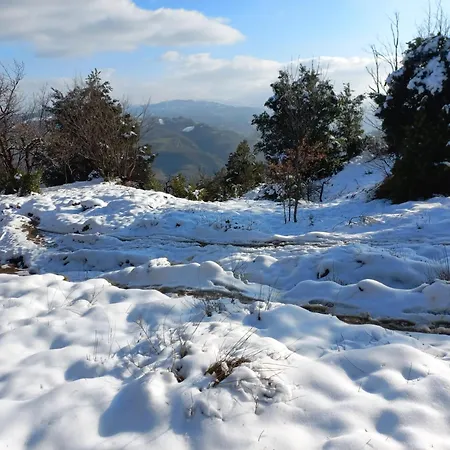 B&B Poggio Di Vento Sulla Via Degli Dei