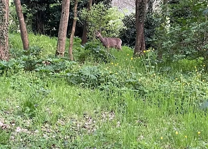 Poggio Di Vento Sulla Via Degli Dei *