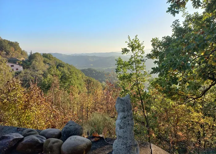 Poggio Di Vento Sulla Via Degli Dei Bed & Breakfast
